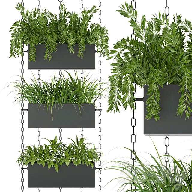 Collection plant vol 85 3D Model