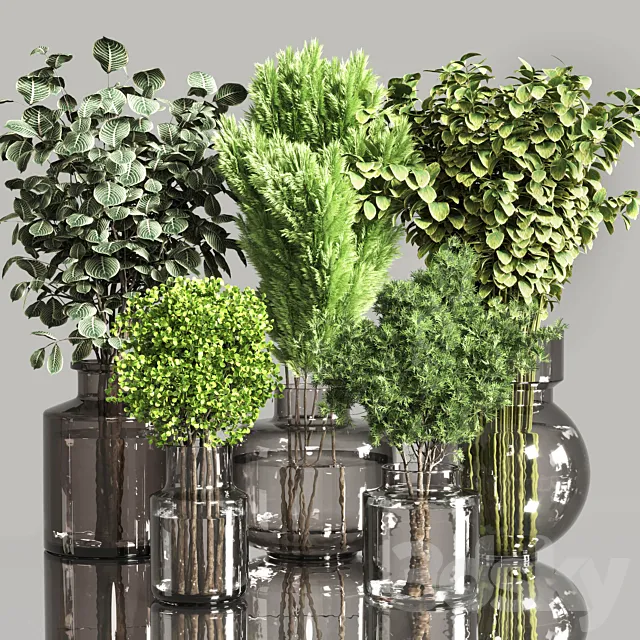 Collection Plants Bouquet Indoor 01 3D Model