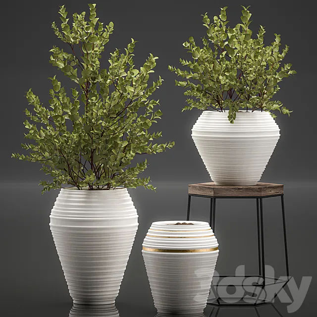 Collection with a small decorative tree Eucalyptus ash bush in a white ethnic pot vase. Set 538. 3D Model
