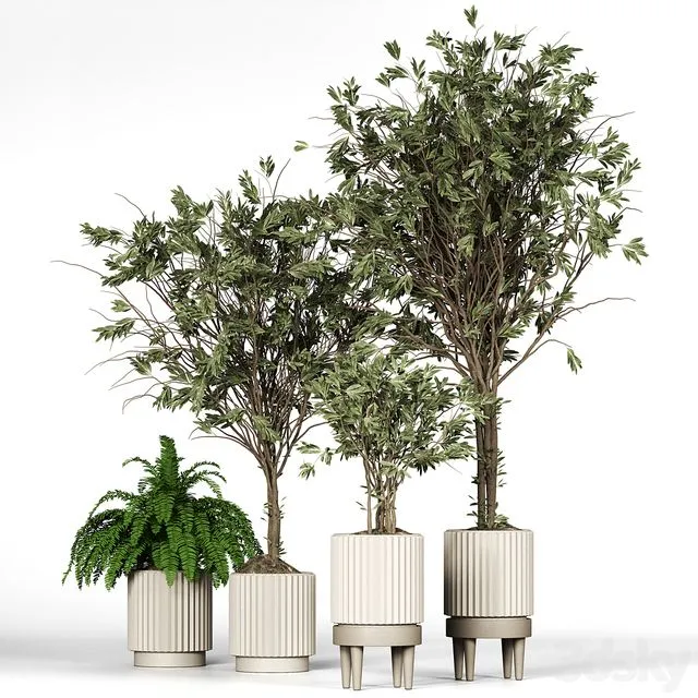 Collection_plant_05 3D Model