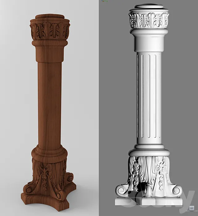 Colon 3DModel