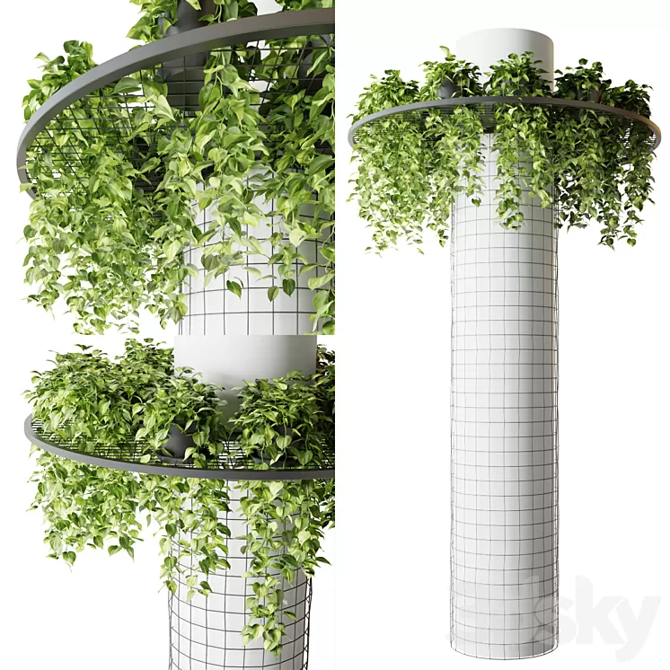 Column with hanging plants (epipremnum) 3D Model Free