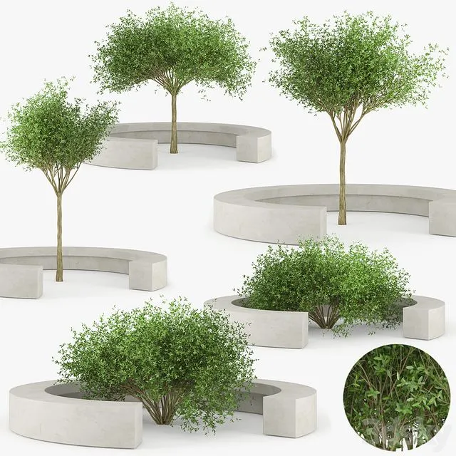 COMB BY VORA ARQUITECTURA Tree Bench 3D Model