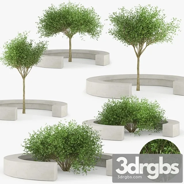 Comb By Vora Arquitectura Tree Bench 3D Model Download