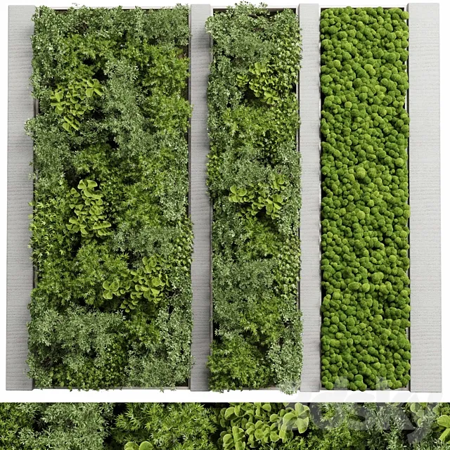Concrete frame Vertical garden plant and moss garden wall decor box 66 3D Model