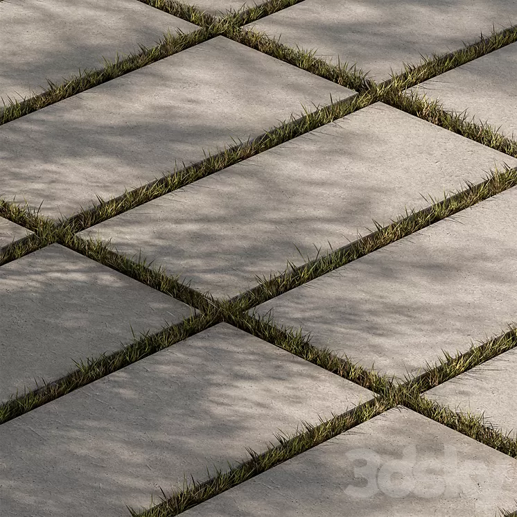 Concrete Slab with Grass - Paving 03