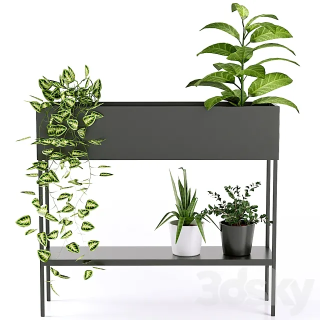 Console Consuela for flowers | La redoute 3D Model