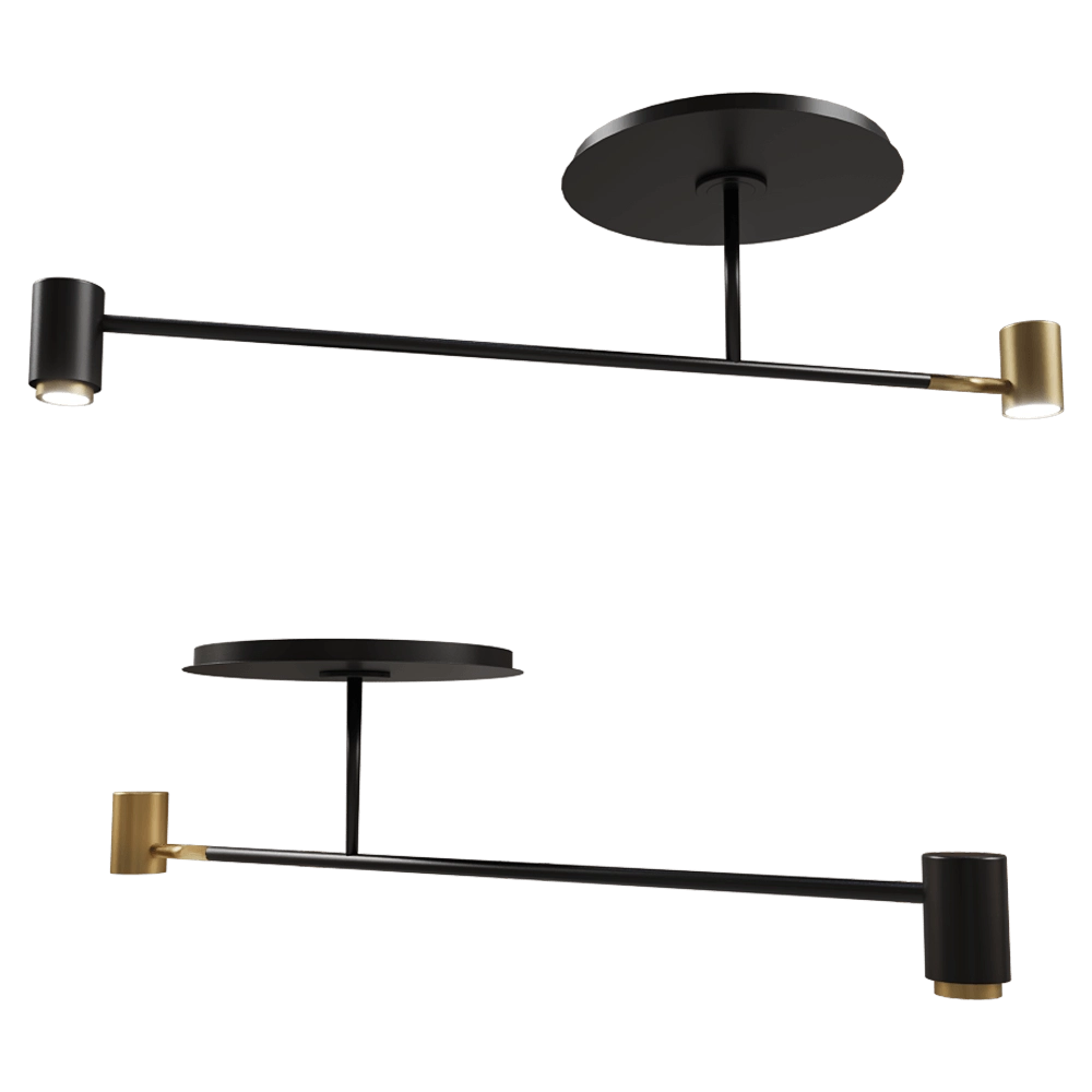 Contardi  - Ceiling lamp Melanocetus PL 3D Model