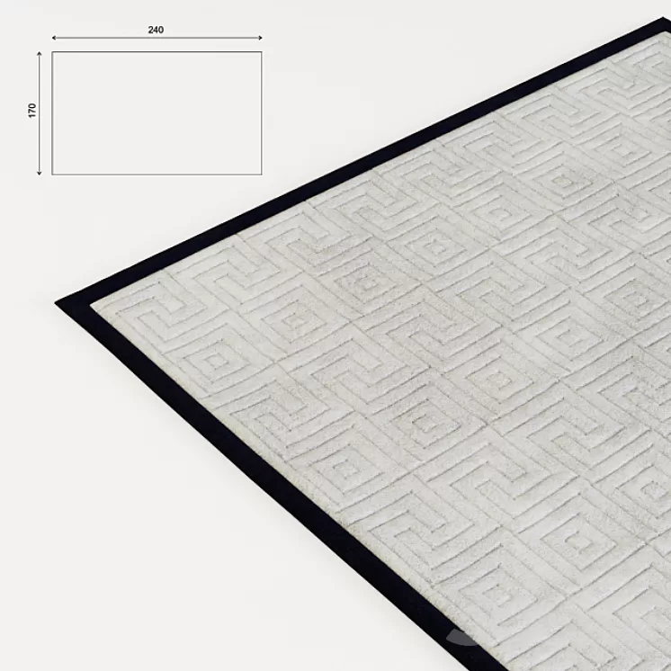 Contemporary rug 3D Model