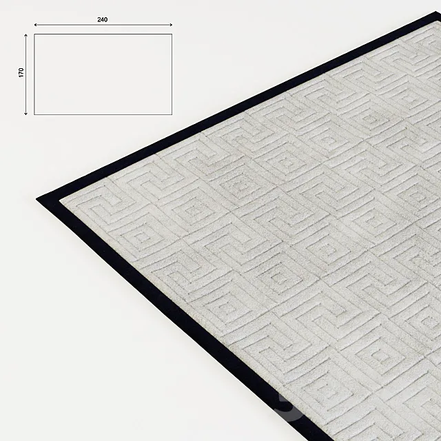 Contemporary rug 3DModel