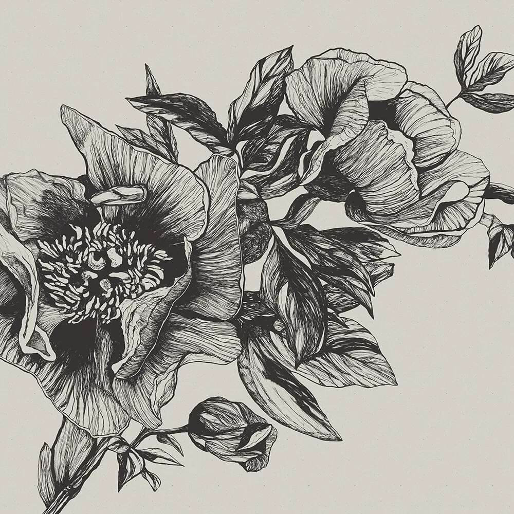 Coordonné - Wallpaper Giant Peonies 3D Model