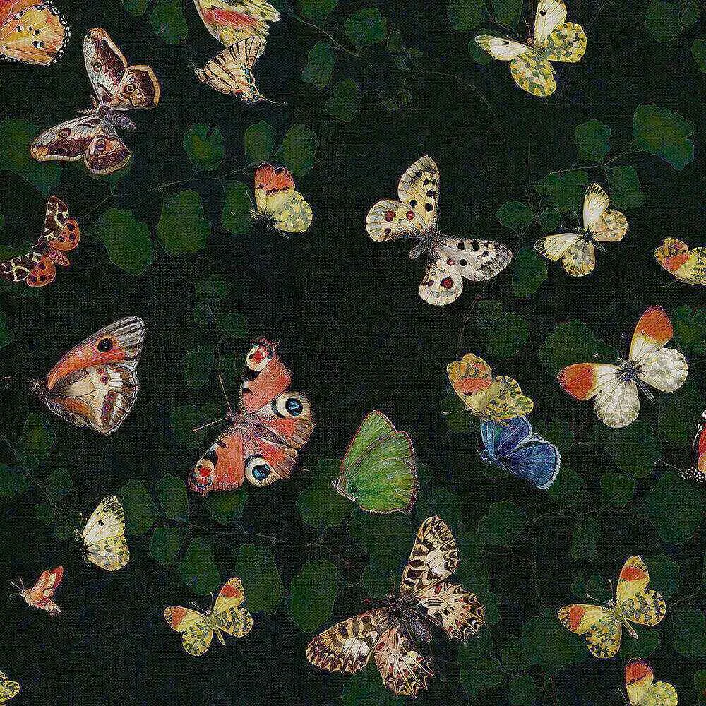 Coordonné - Wallpaper Magic butterflies 3D Model