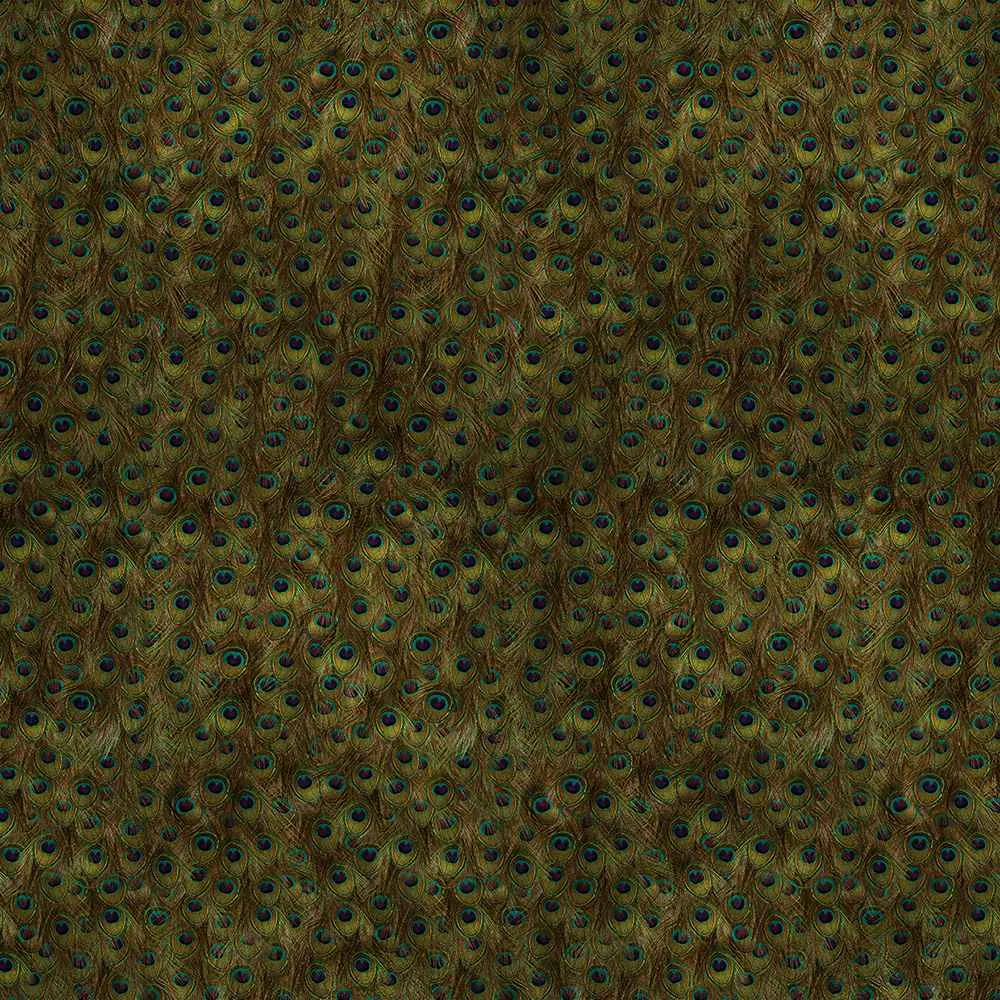 Coordonné - Wallpaper Peafowl 3D Model