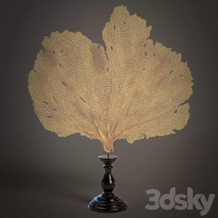 Coral 3D Model