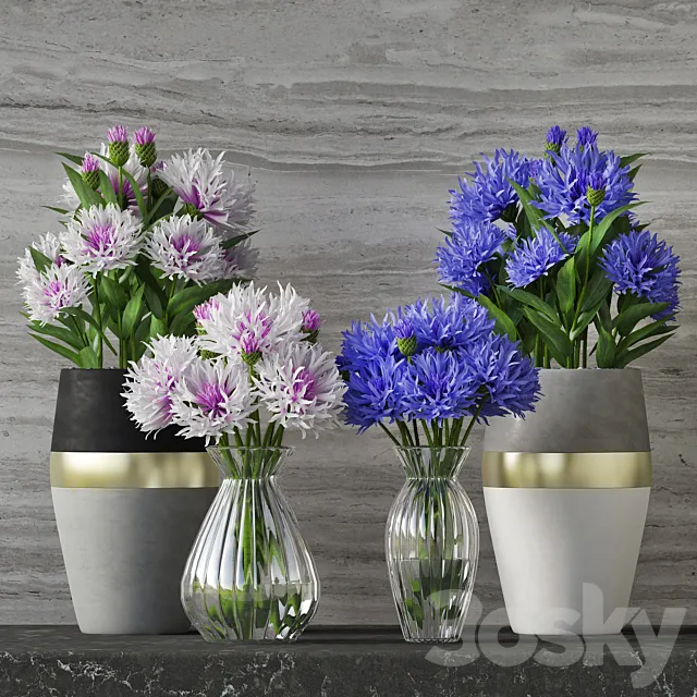 Cornflower Set 3DModel
