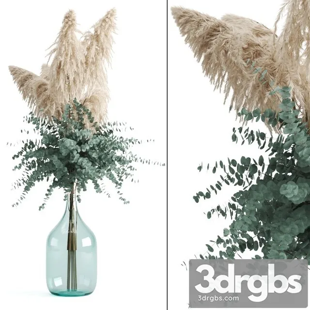 Cortaderia and Eucalyptus in a Large Bottle Free Download