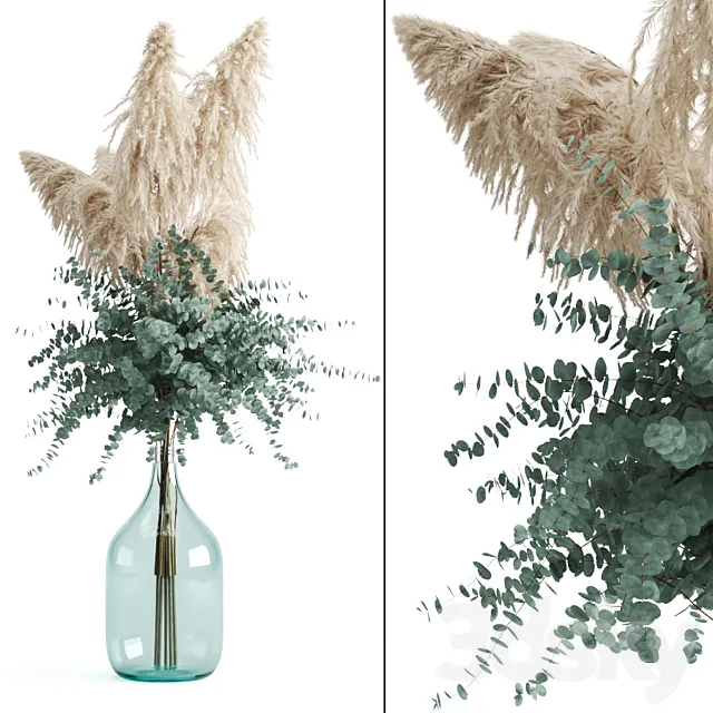 Cortaderia and eucalyptus in a large bottle 3DModel
