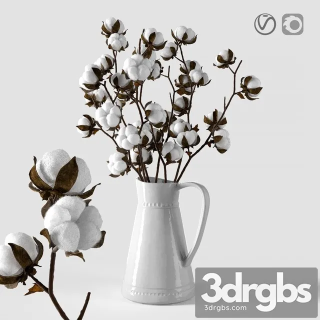 Cotton in a Jug 3D Model Free