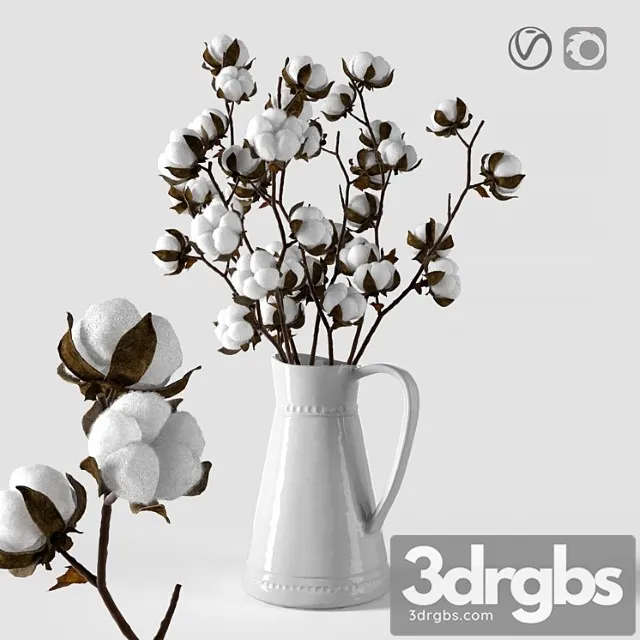 Cotton In A Jug 3D Model Free