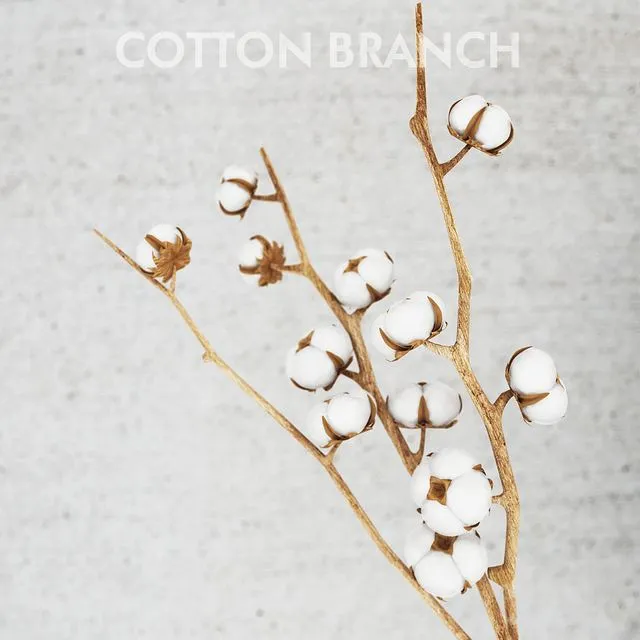 cotton threads 3D Model