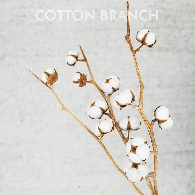 cotton threads 3D Model