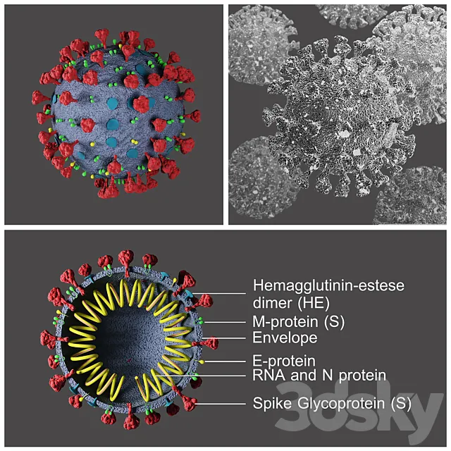 Covid-19 _ Coronavirus Free Download