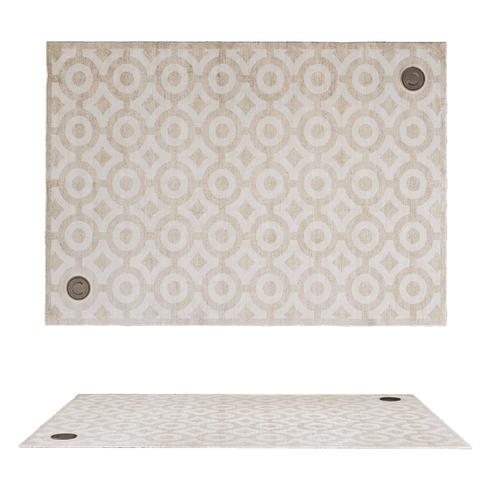 CPRN HOMOOD - Carpet Art.E240 3D Model