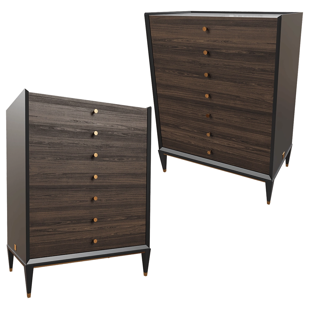 CPRN HOMOOD - Chest of drawers E209 3D Model
