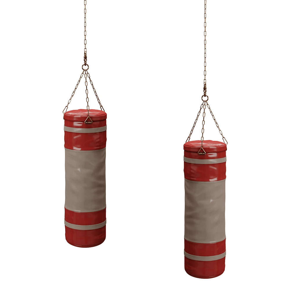 CPRN HOMOOD - Punching bag 3D Model
