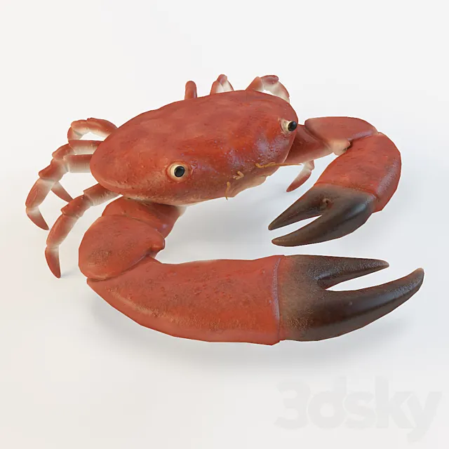 Crab 3DModel