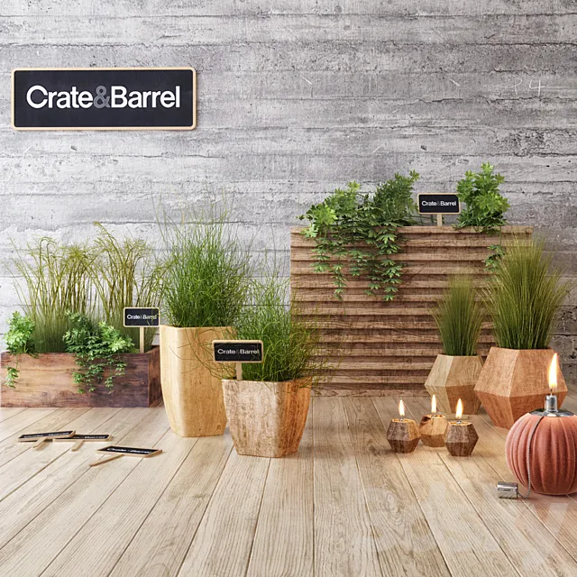 Crate & Barrel planter set Free Download