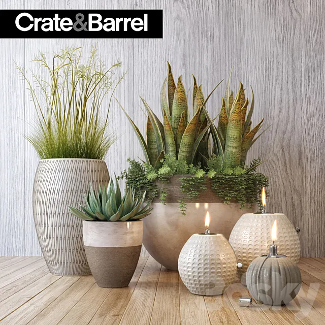 Crate&Barrel plant set 3D Model