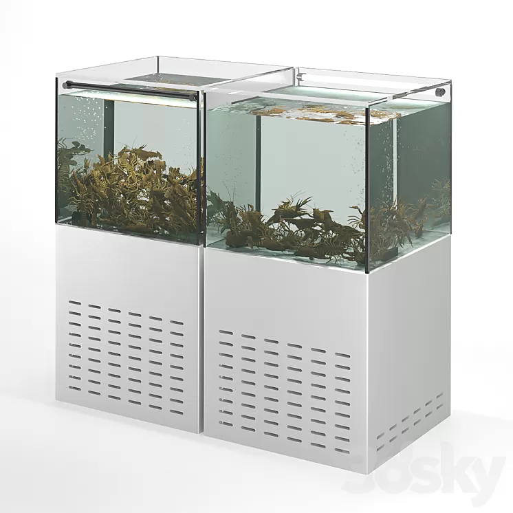 Crayfish aquarium 3D Model