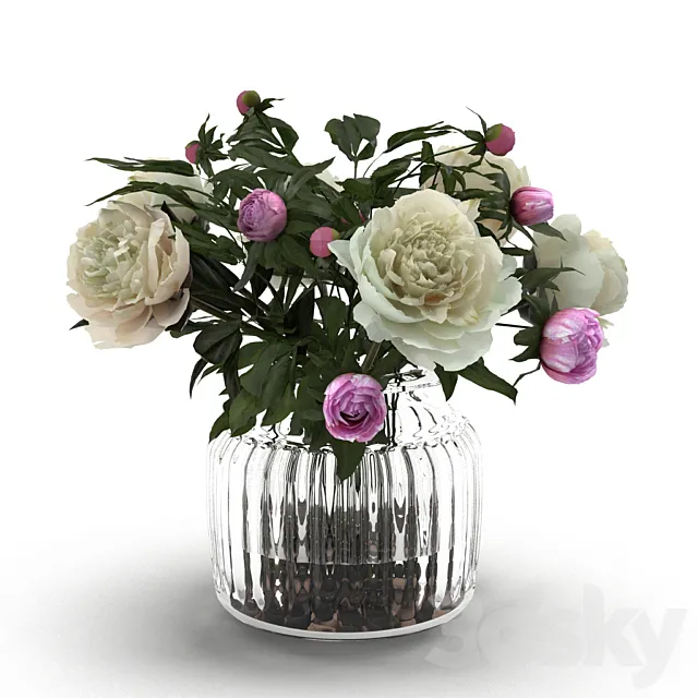 Cream Peonies in ribbed glass vase 3DModel