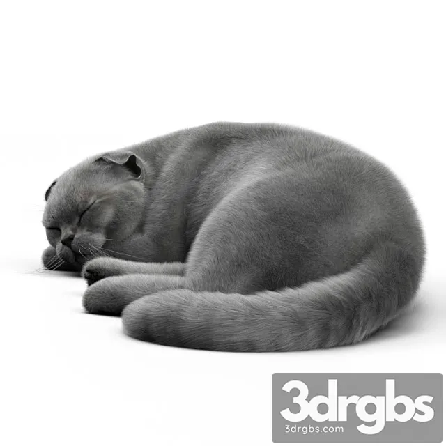 Creature Cat 6 corona 3D Model Free