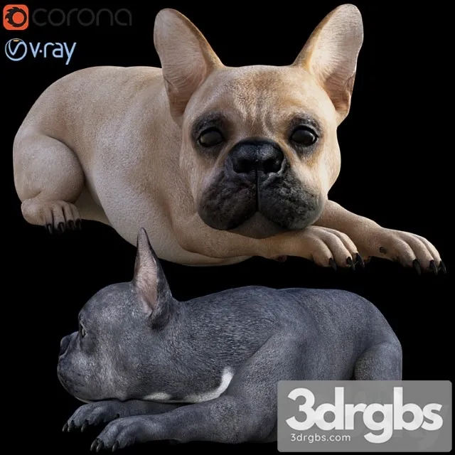 Creature Dog Bull 3D Model Free
