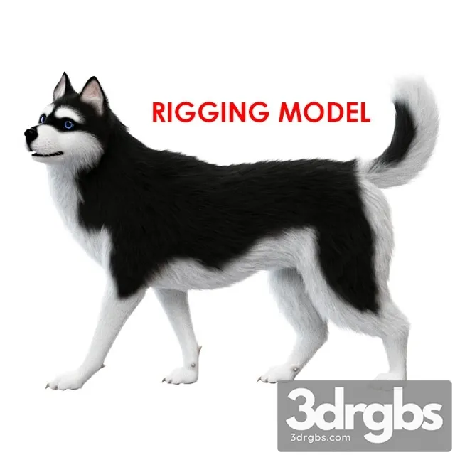 Creature Dog (rig) 3D Model Download