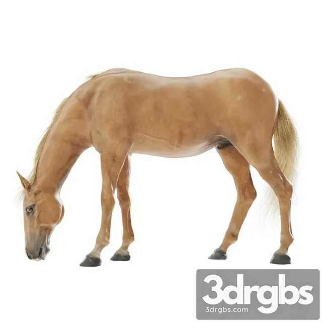 Creature Grazing horse 3D Model Free