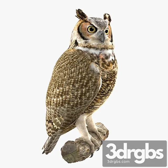 Creature Owl 3D Model Free