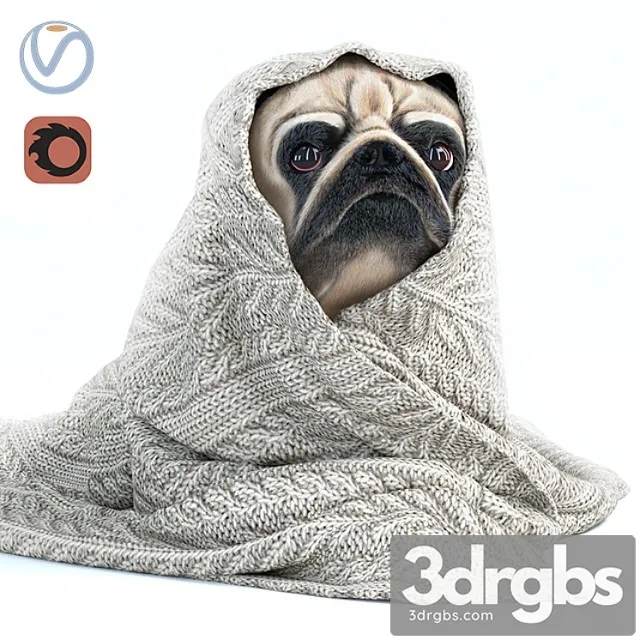Creature Pug 1 - winter is coming 3D Model Free