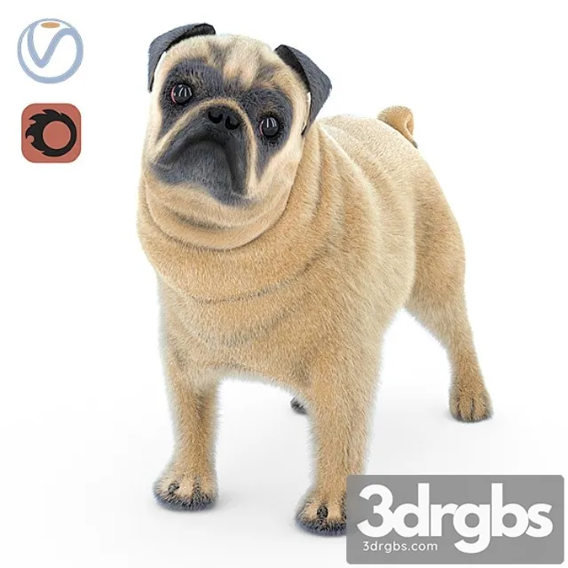 Creature Pug 2 3D Model Free