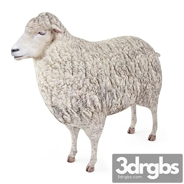 Creature Sheep 3D Model Free
