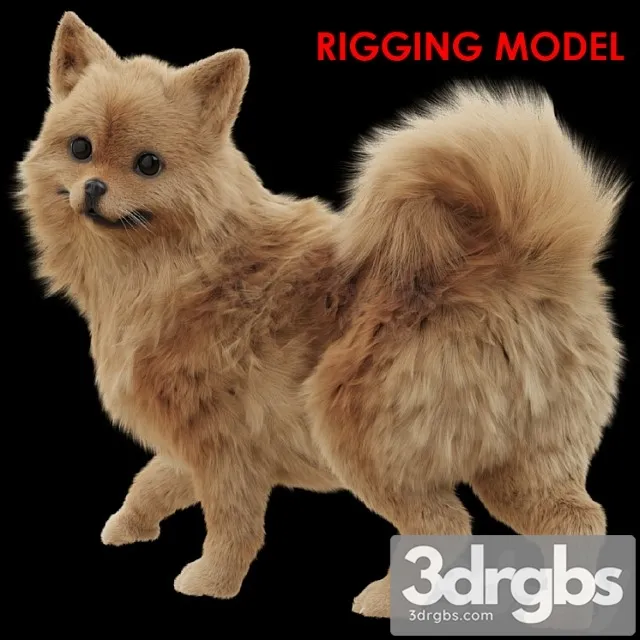 Creature Spitz 3D Model Free