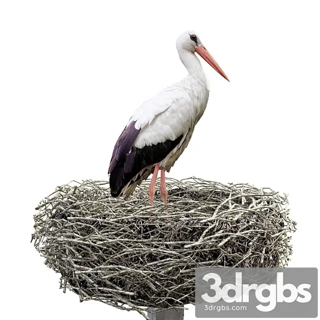 Creature Stork 3D Model Download