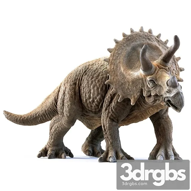 Creature Triceratops 3D Model Free
