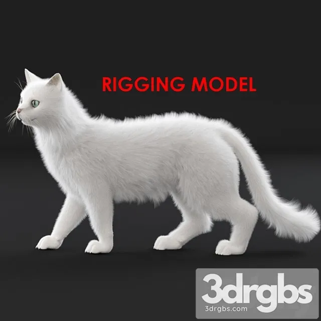 Creature White cat (rig) 3D Model Free
