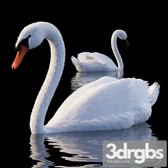 Creature White swan 3D Model Free