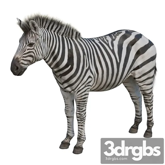 Creature Zebra 3D Model Free