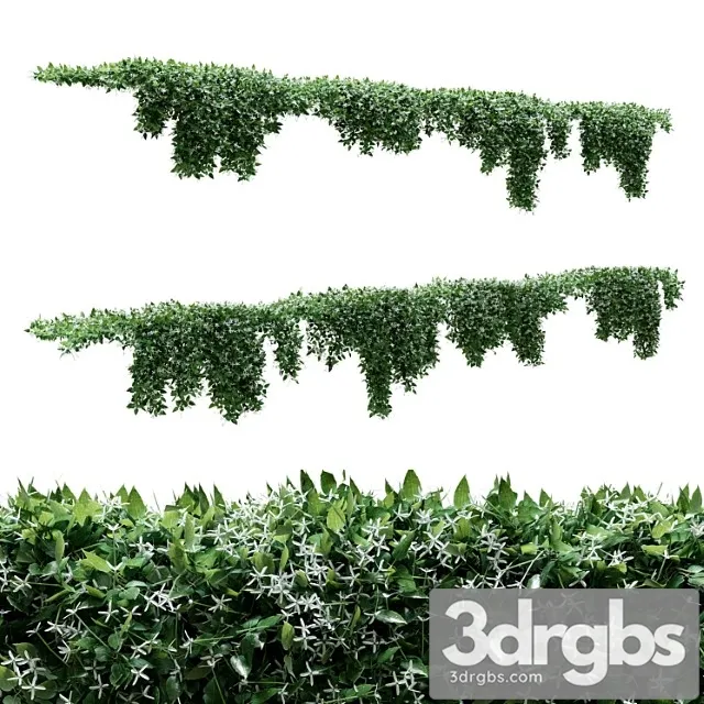 Creeper - clematis glycinoides - 8 modular pieces