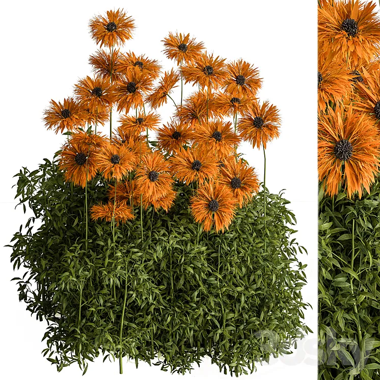 Creeper Yellow Flower – Bush Set 93 3D Model Free Download